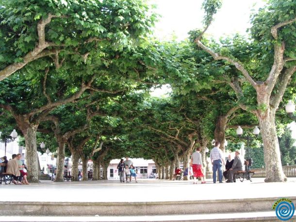 Alameda